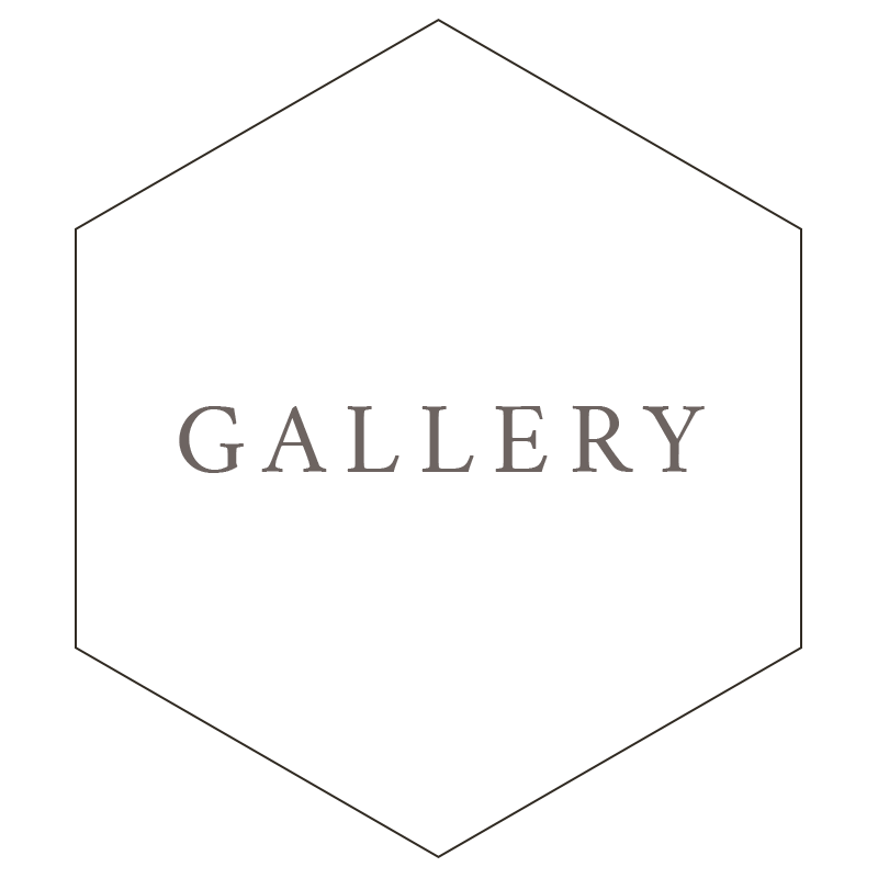 Gallery Icon